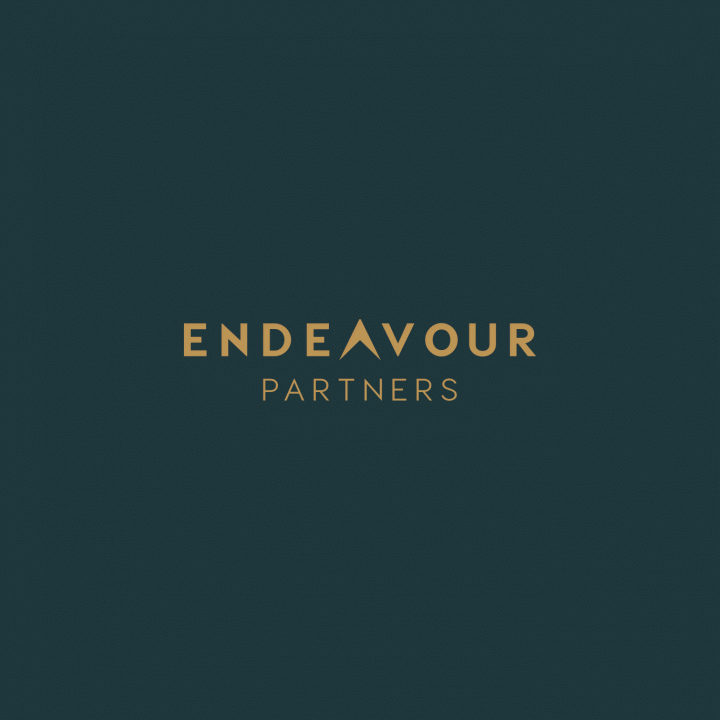 Endeavour Partners Group
