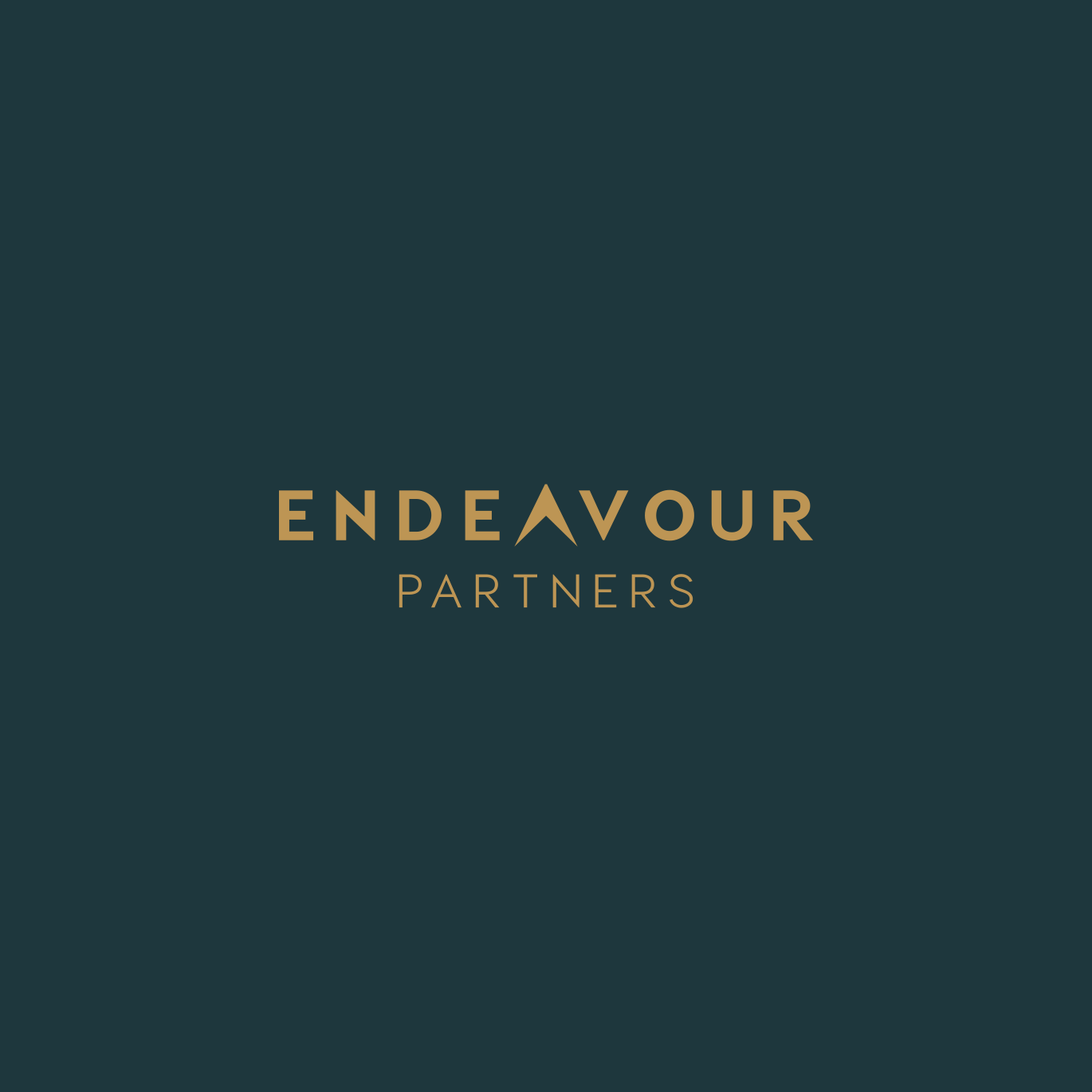Endeavour Partners Group Logo