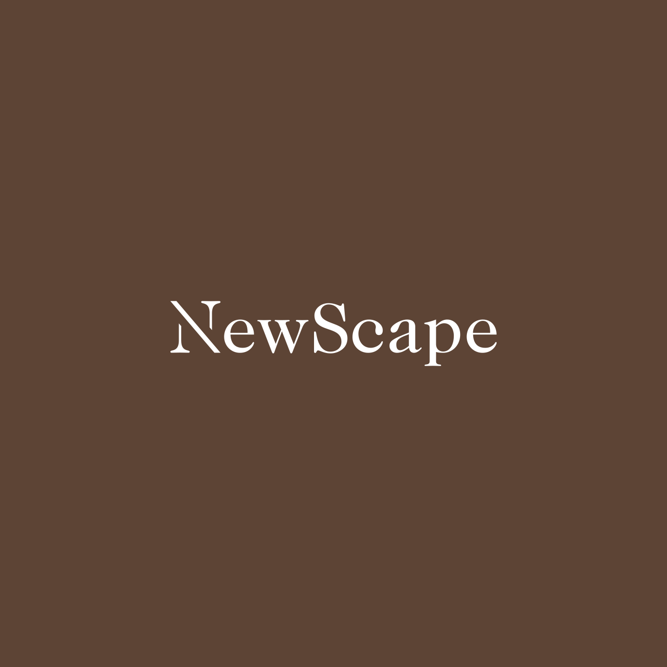 Newscape Logo