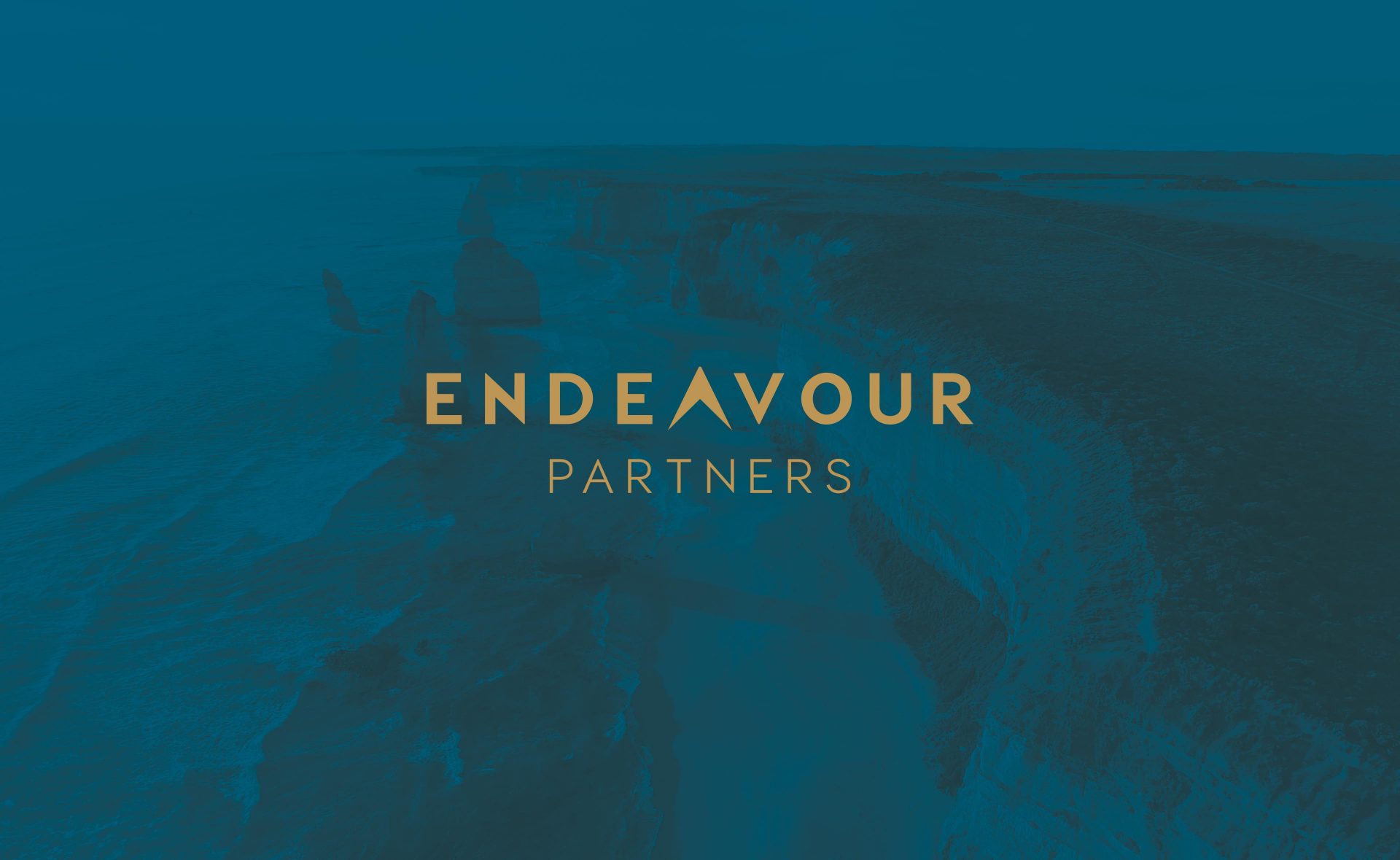 Endeavour Partners Design and Branding Case Study