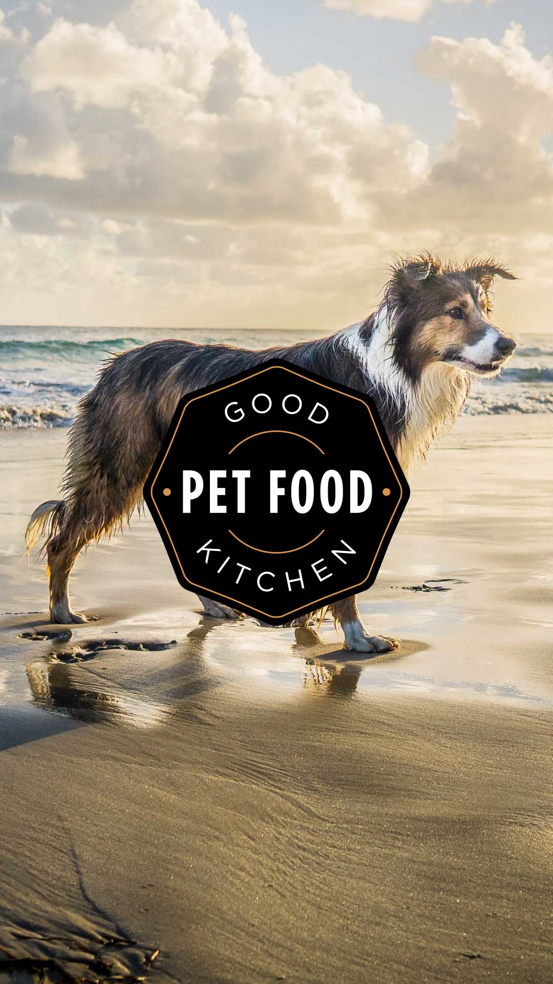 Good Pet Food Kitchen Brand Design